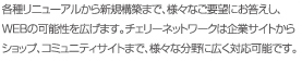 各種リニューアルから新規構築まで、様々なご要望にお答えし、webの可能性を広げます。チェリーネットワークは企業からショップ、コミュニティサイトまで、様々な分野に広く対応可能です。